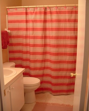 Upstairs bathroom with bathtub