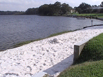 Small Beach by Lake